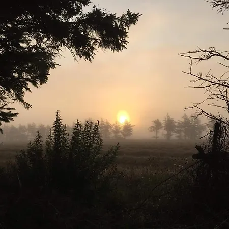 5 Person In Ulfborg-by Traum *